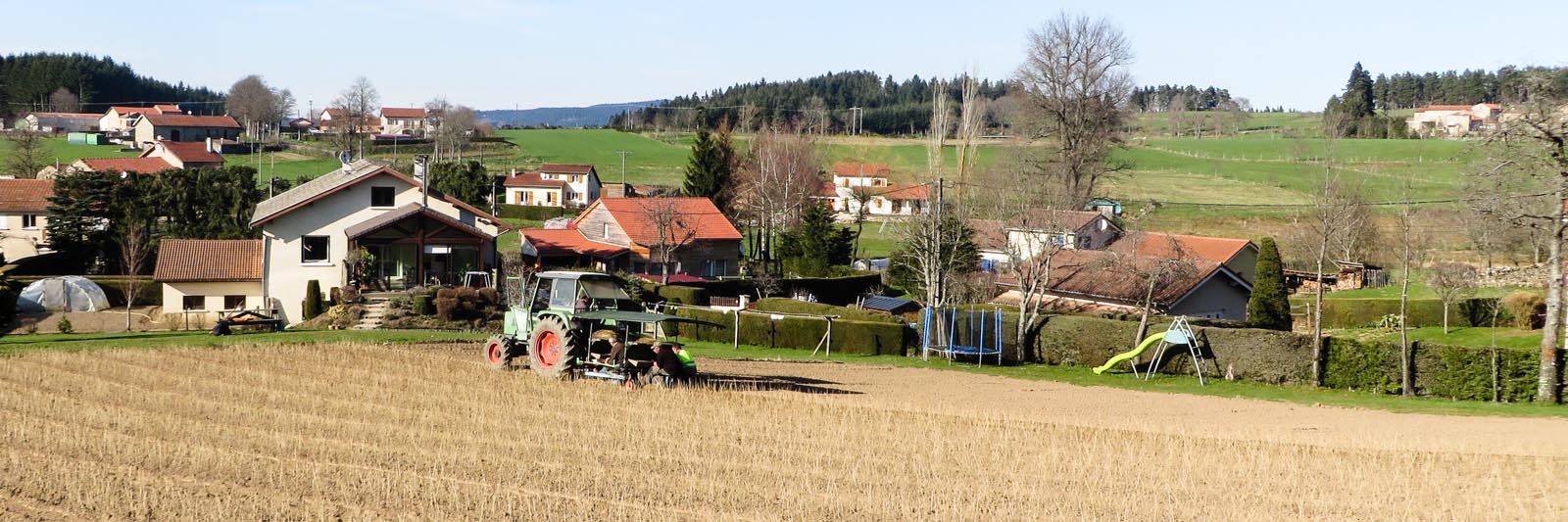 Production de résineux par Pichon Pepinieriste Raucoules