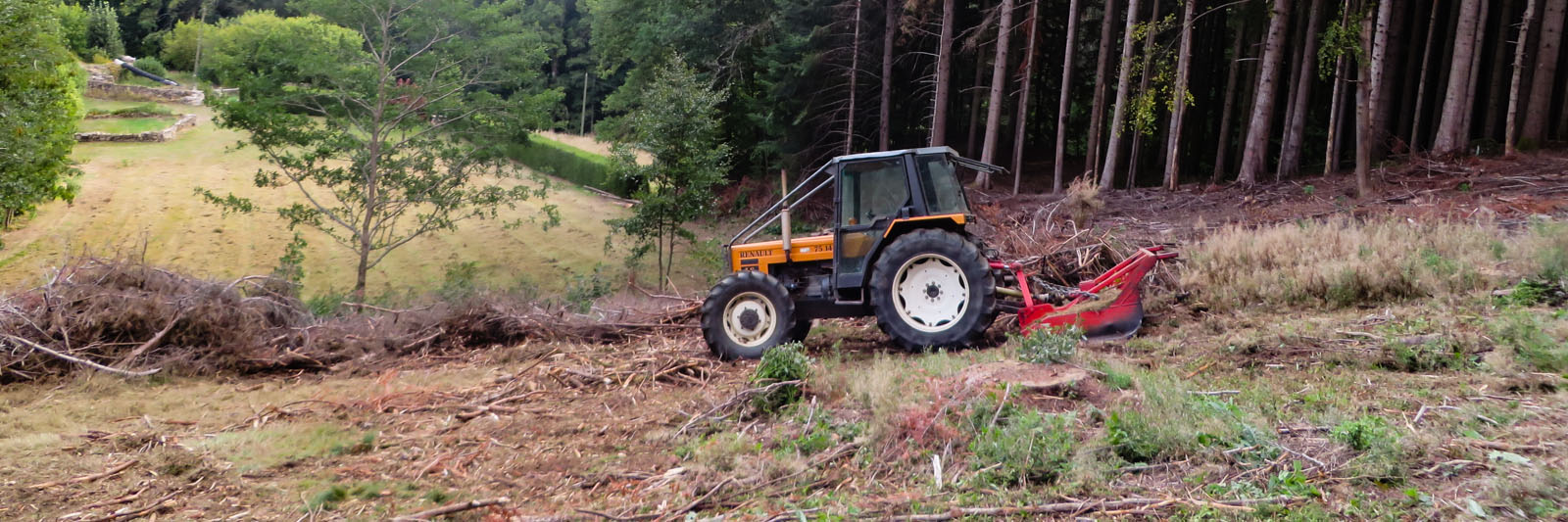 Reboisement par Pichon Pepinieriste Raucoules